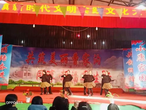 店上镇新时代文明实践 文化大舞台文艺汇演谱写文明交流新篇章